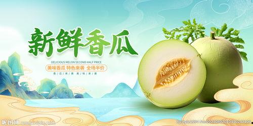 娱乐吃瓜设计理念,吃瓜群众的狂欢盛宴